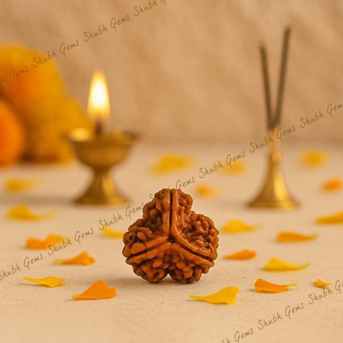 3 mukhi